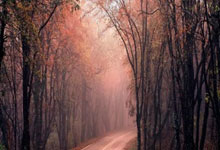 加布里埃尔伤缺成谜！或无缘欧冠战皇马.