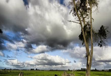 虎扑体育官网：梅西因伤缺席两场世预赛新华网.