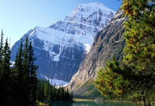 虎扑体育官网：梅西因伤缺席两场世预赛新华网.