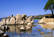 虎扑体育官网：梅西因伤缺席两场世预赛新华网.